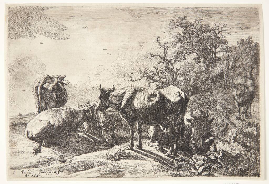 Kohyrden, Paulus Potter, 1643