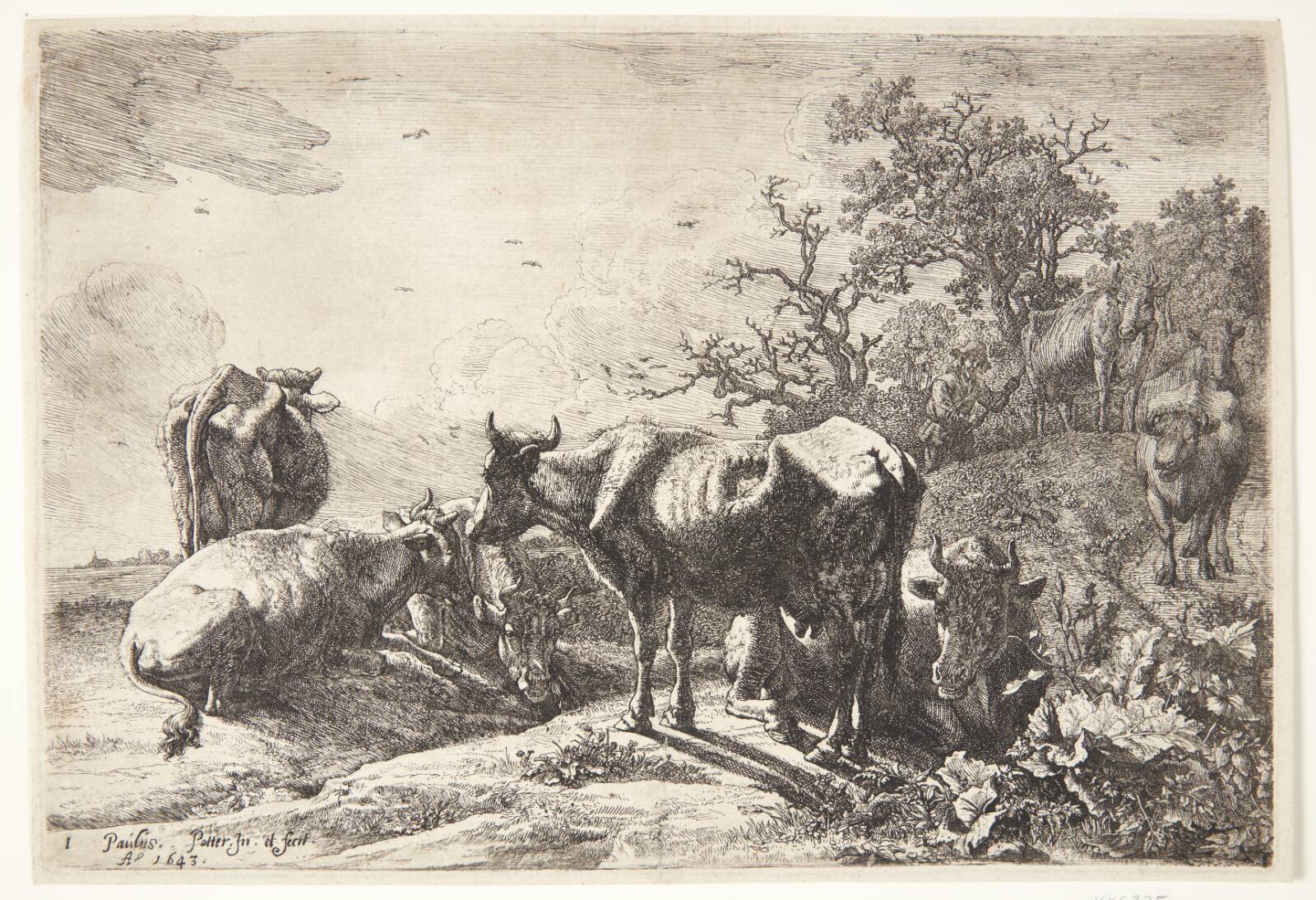 Kohyrden, Paulus Potter, 1643