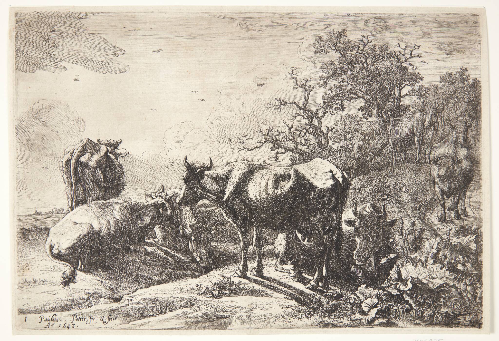 Kohyrden