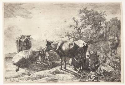 Kohyrden