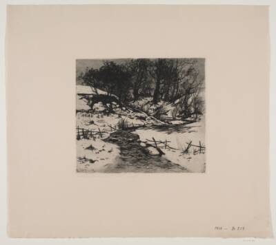 Vinter vandløb ved en skov