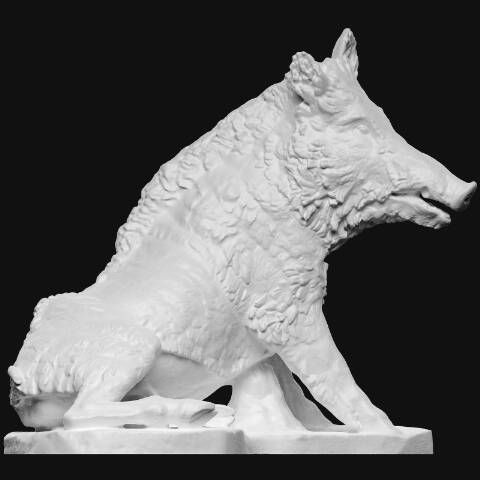 Wildschwein (Uffizien-Eber)