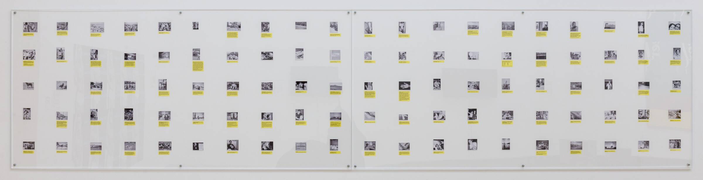 Lack of Information, Henrik Olesen, 2001