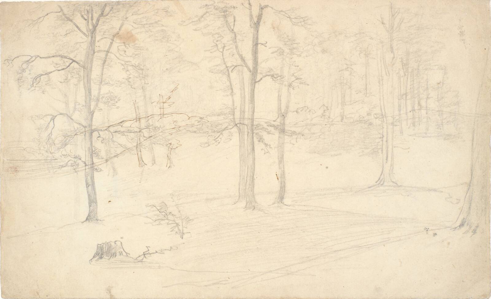 Skovstudie, Dankvart Dreyer, 1831-1852