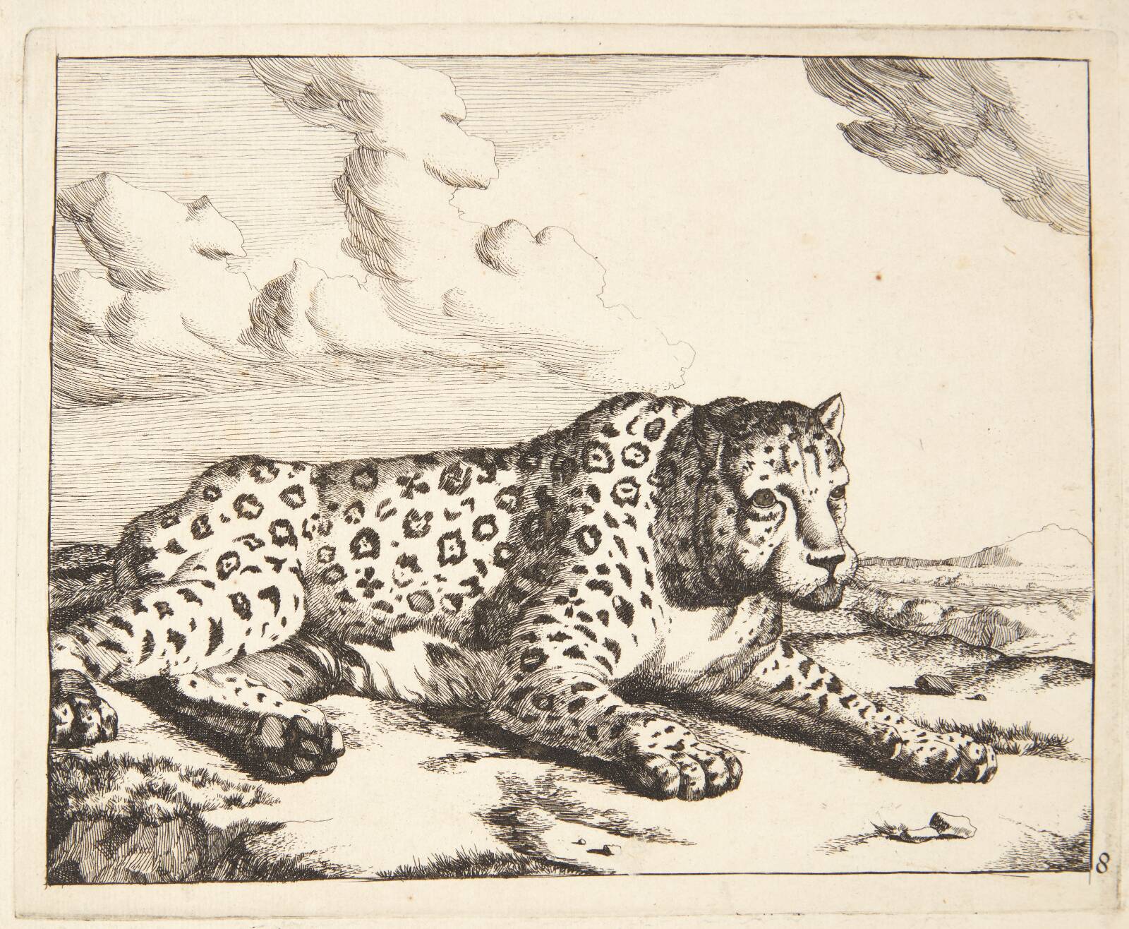 Liggende leopard, vendt mod højre, Marcus de Bye, 1638-1690