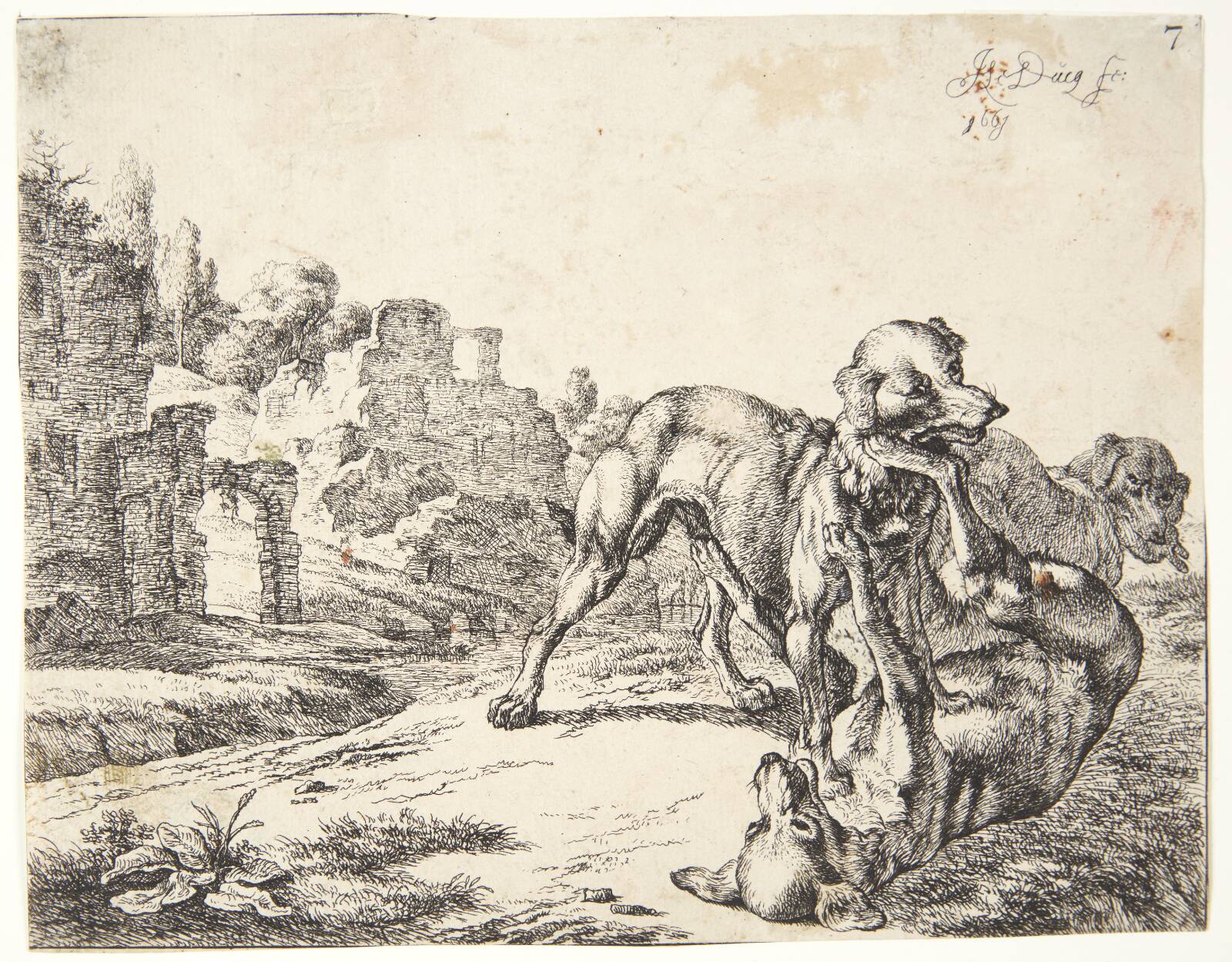 Hunde, som slås, Johan le Ducq, 1661