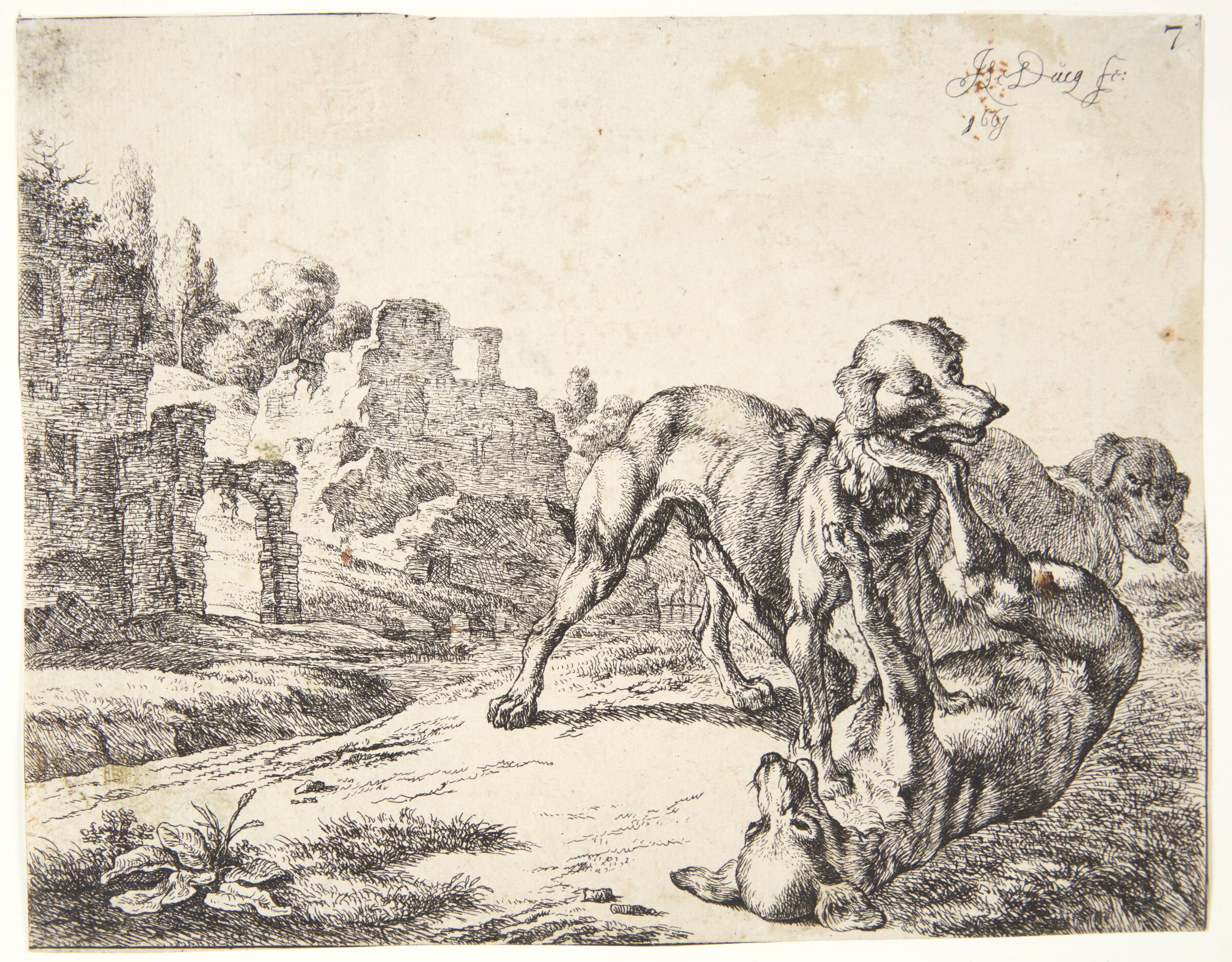 Hunde, som slås, Johan le Ducq, 1661