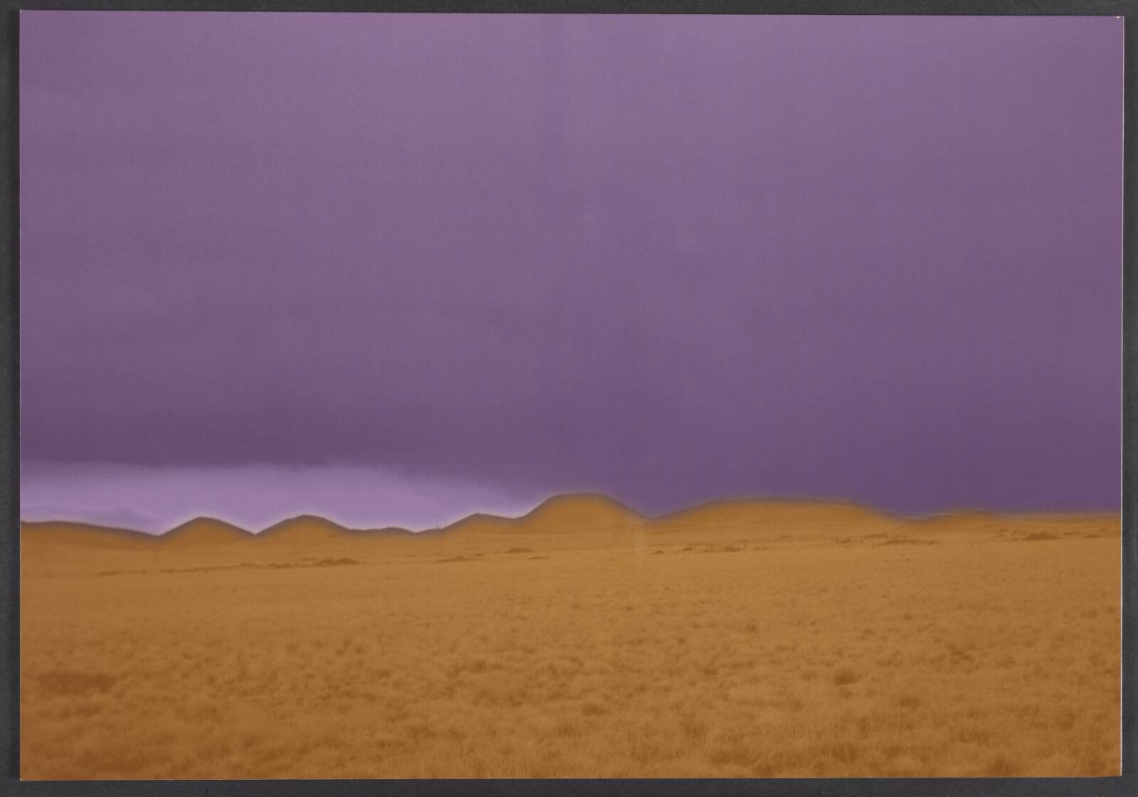 Arizona, Erik Steffensen, 2001