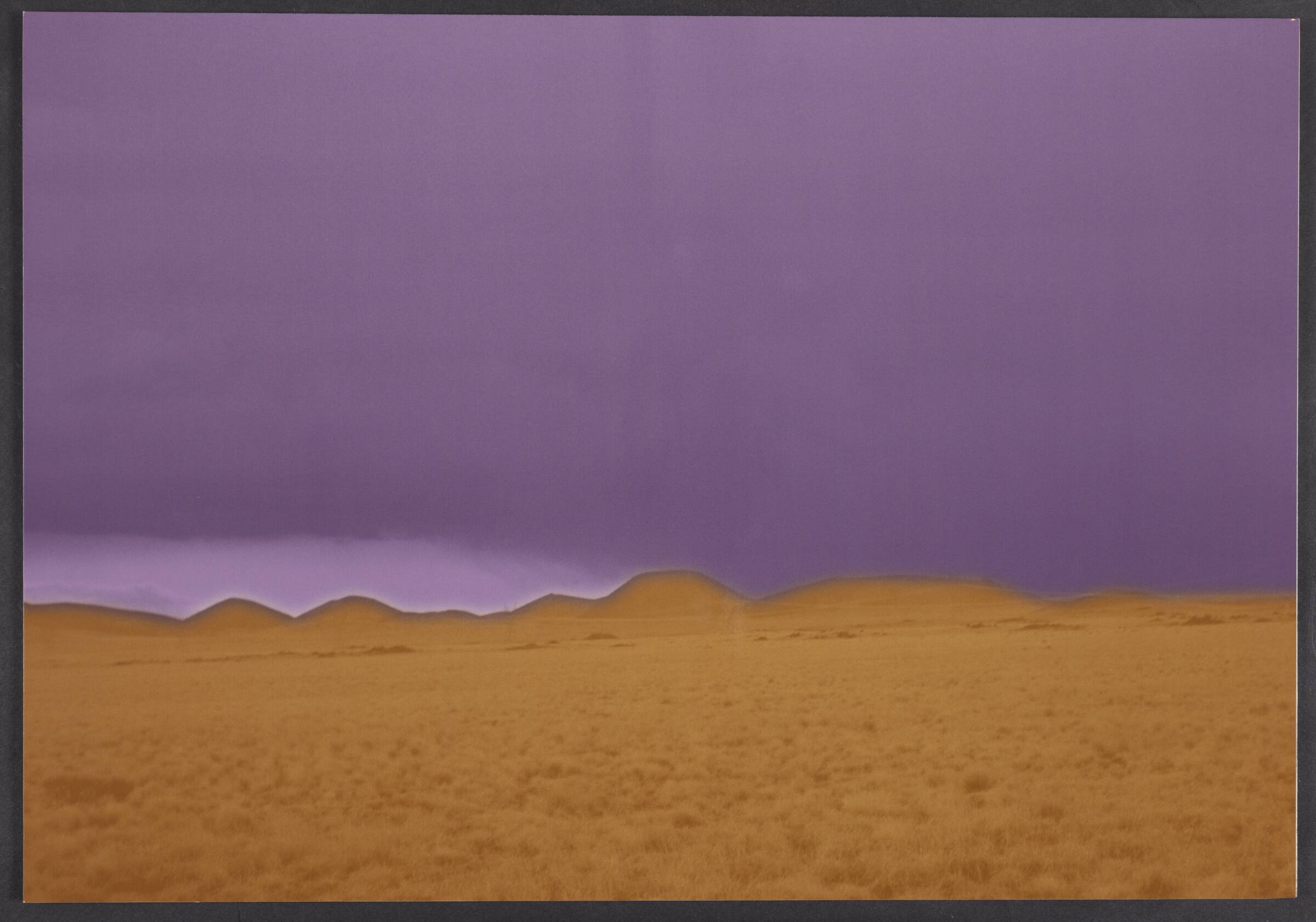 Arizona, Erik Steffensen, 2001