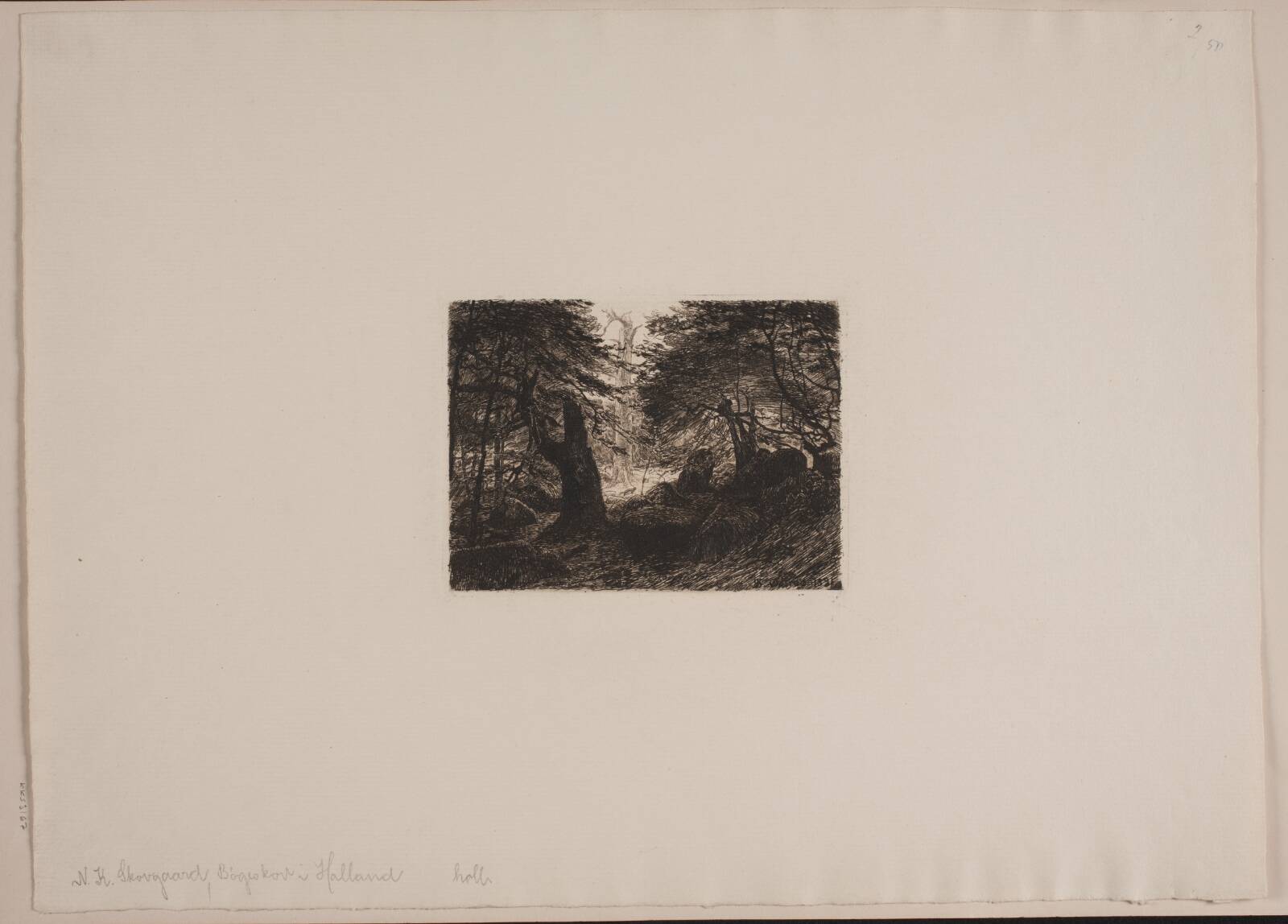 Bøge og sten, Niels Skovgaard, 1891