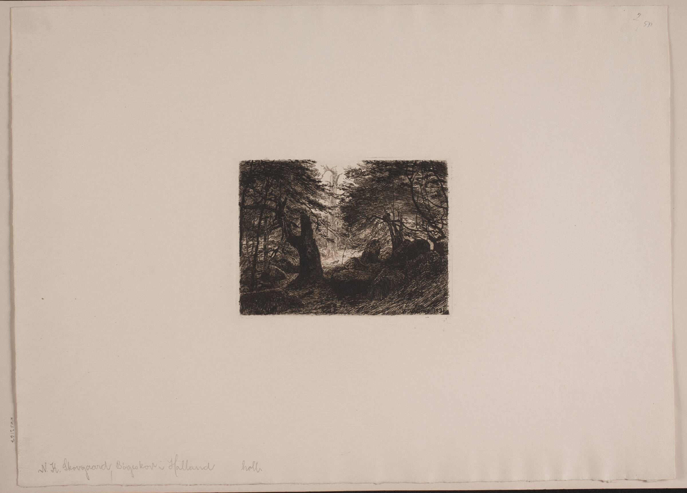 Bøge og sten, Niels Skovgaard, 1891
