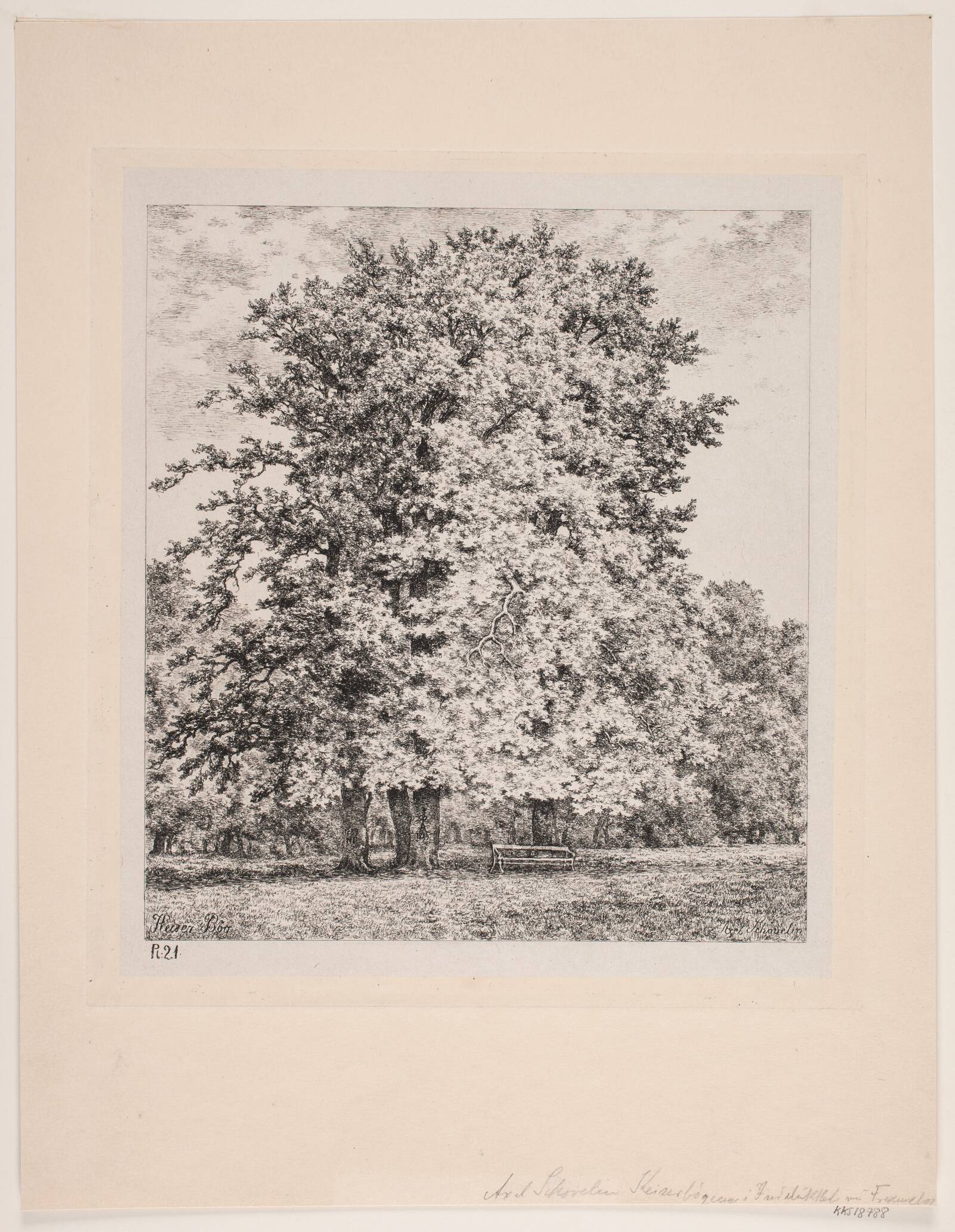 Kejser bøgen. Fredensborg, Axel Schovelin, 1891