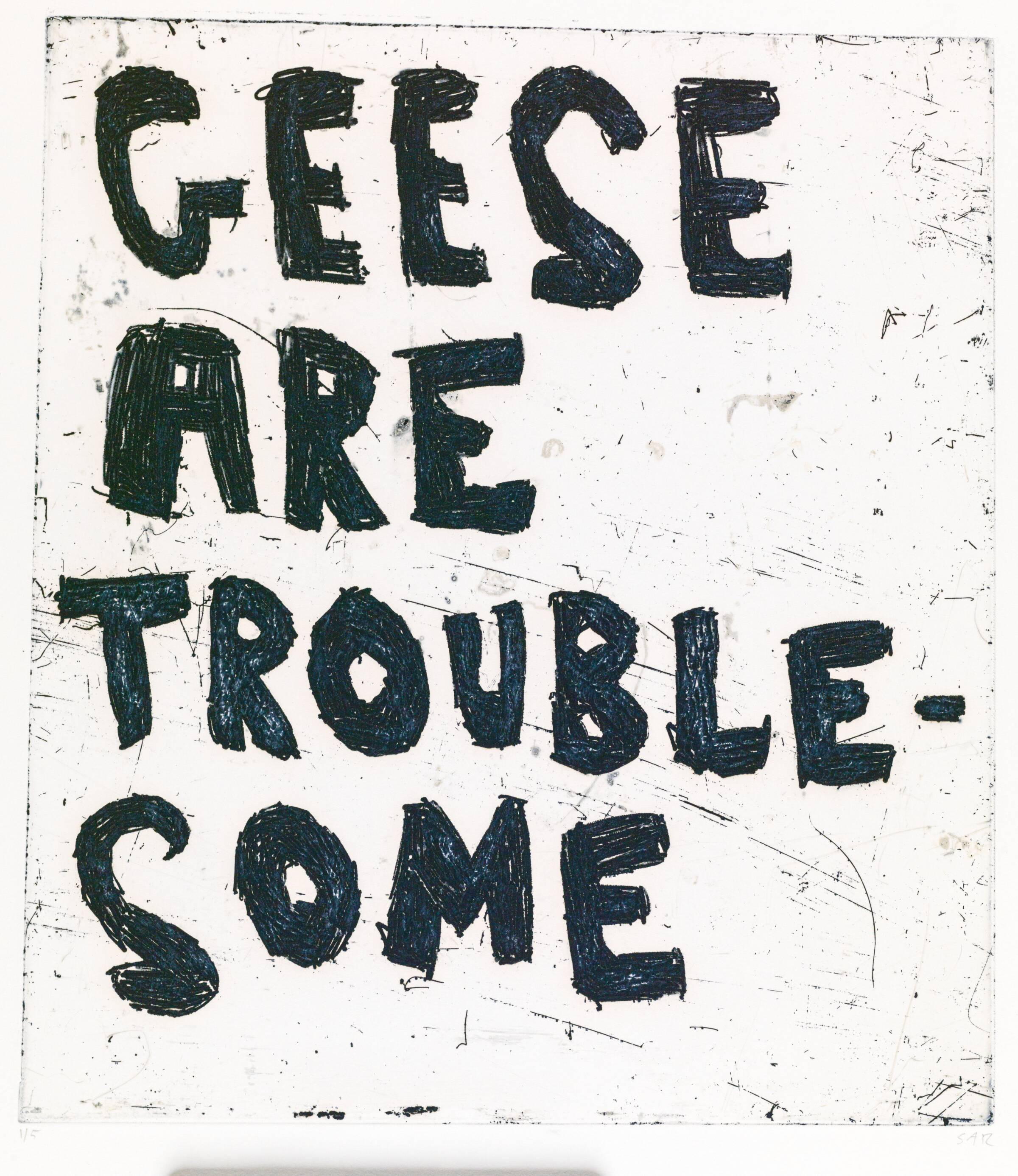 GEESE ARE TROUBLESOME, Svend-Allan Sørensen, 2012