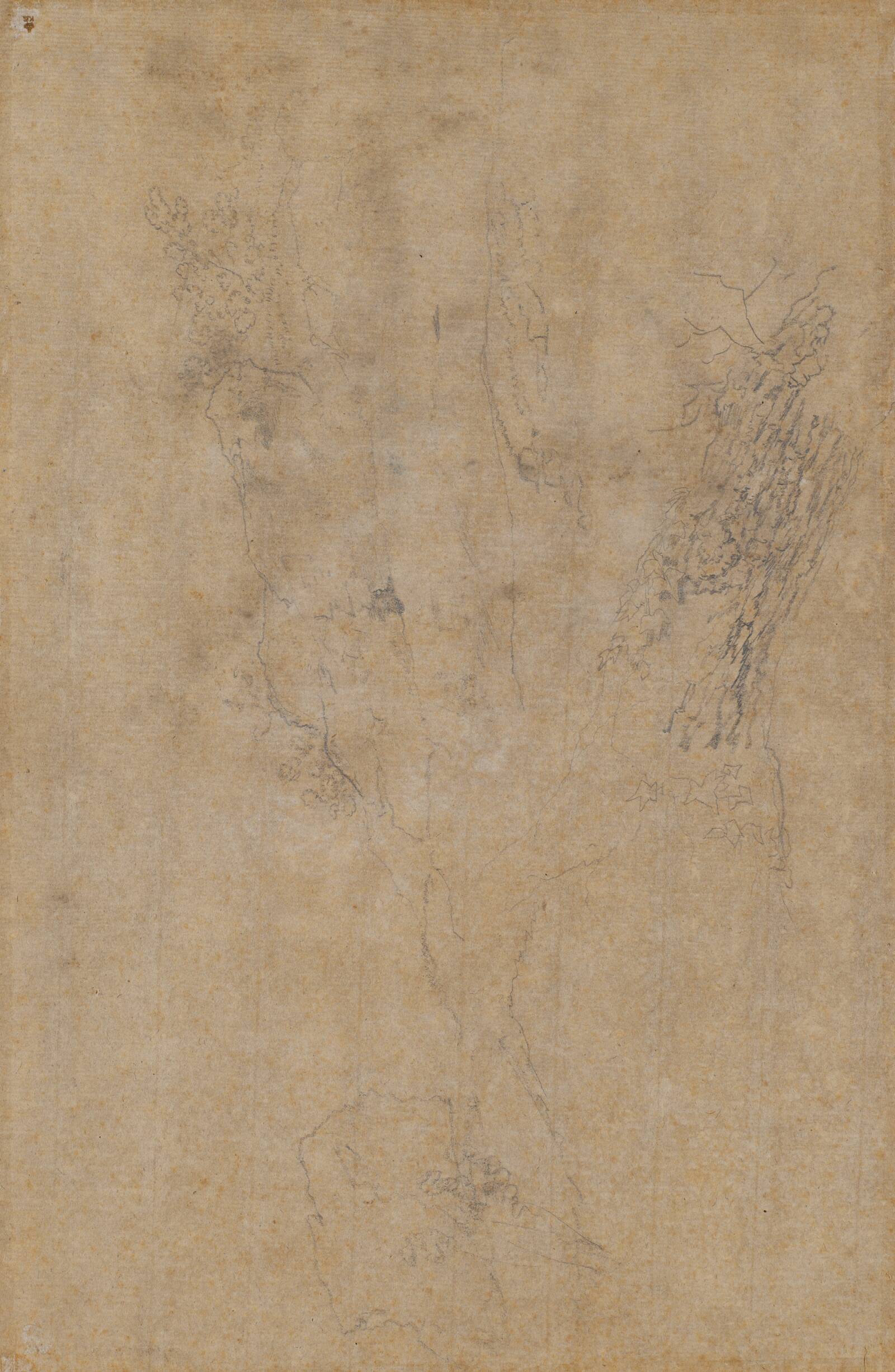 Plante og landskabstudier, Jens Juel, 1777-1779