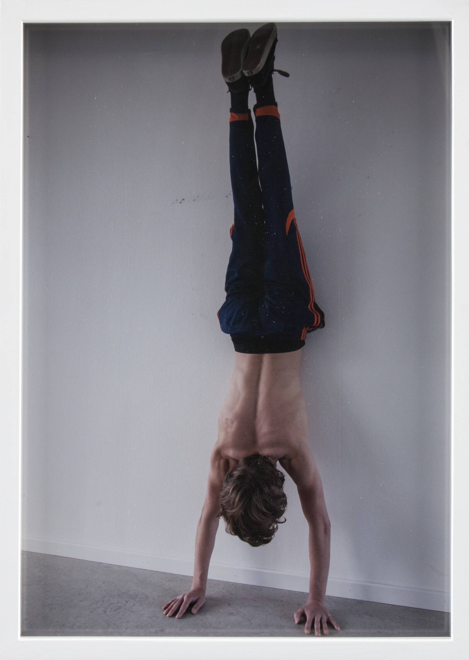 Muscle, Fryd Frydendahl, 2013