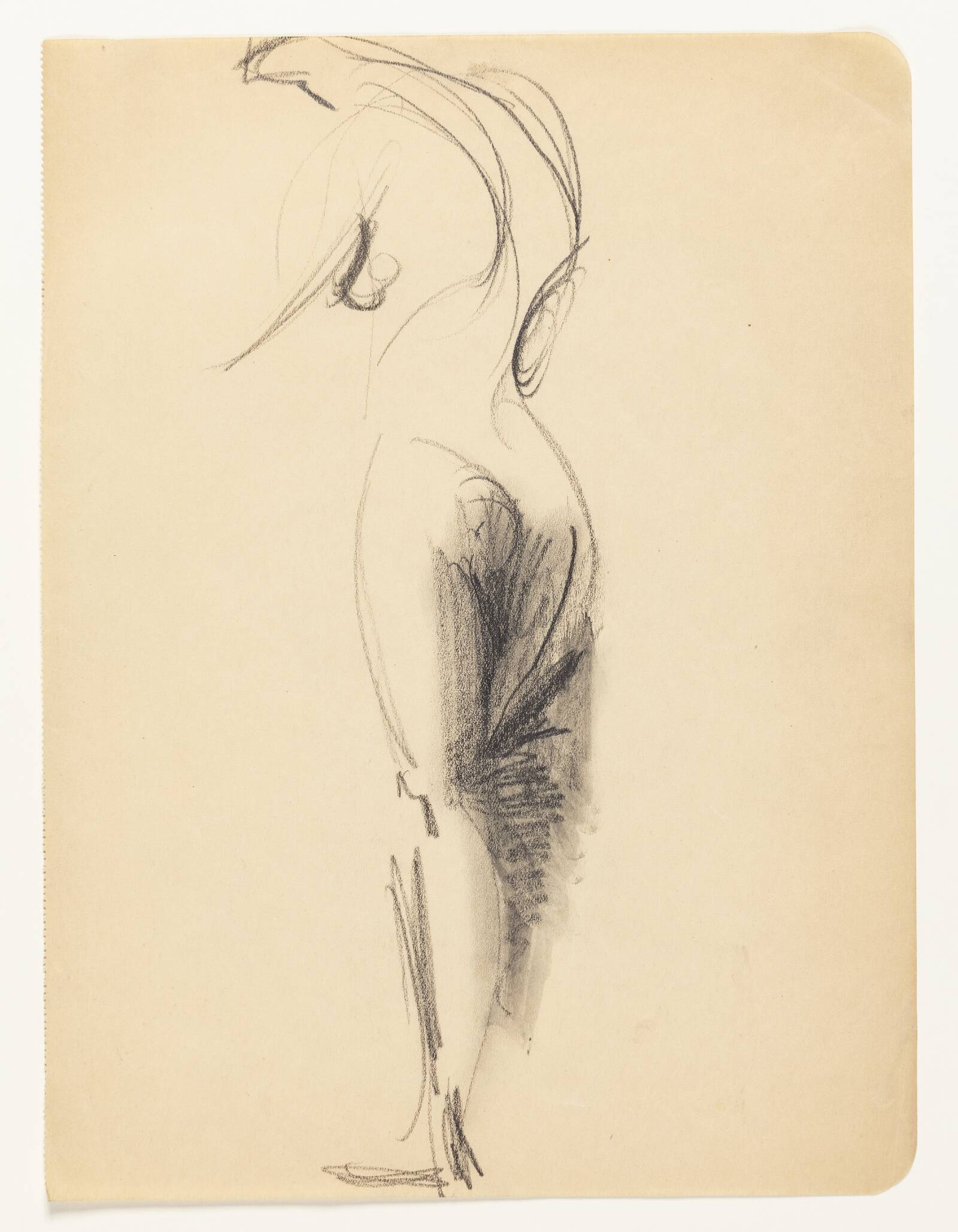 Modelstudie, Astrid Holm, 1876-1937