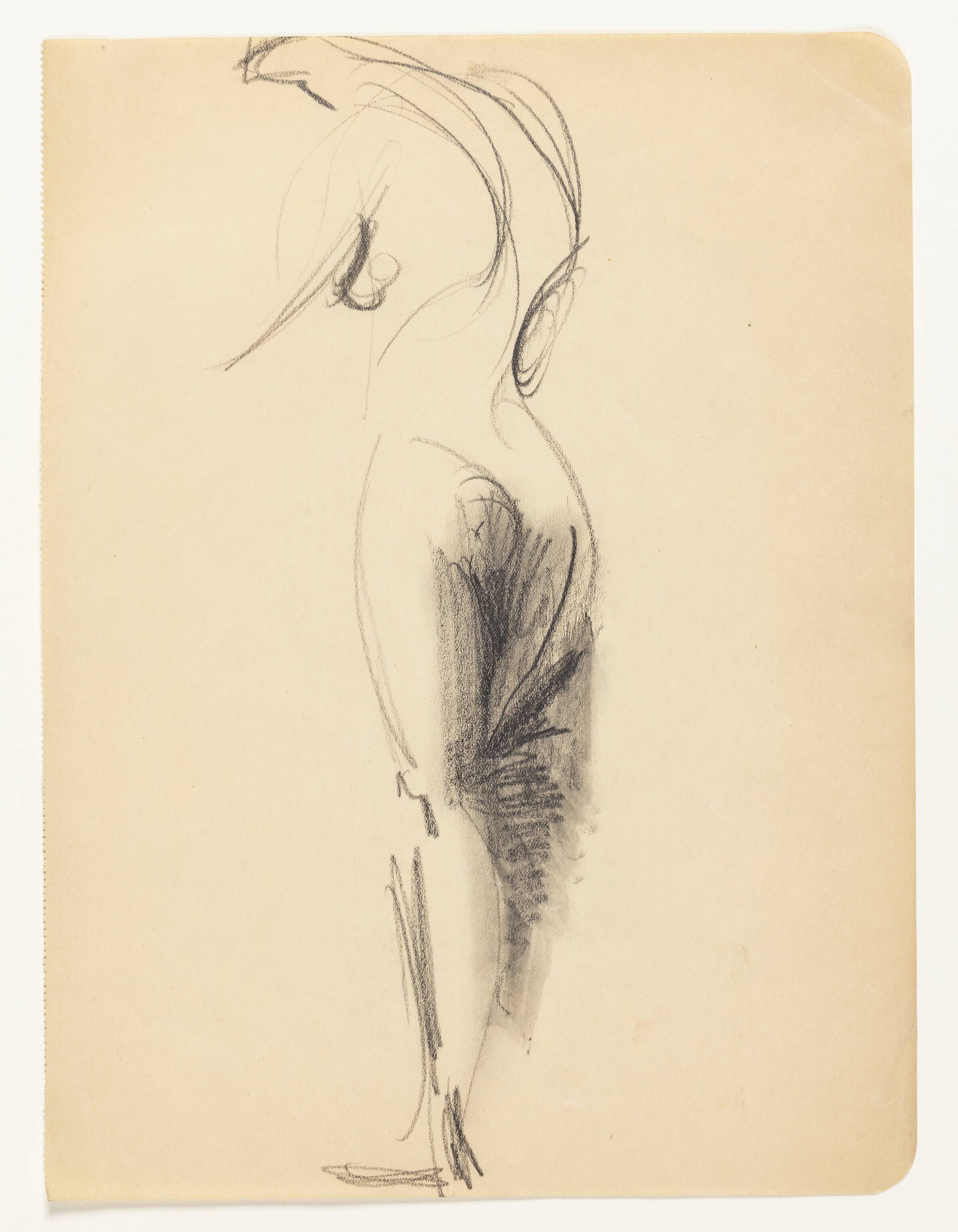 Modelstudie, Astrid Holm, 1876-1937