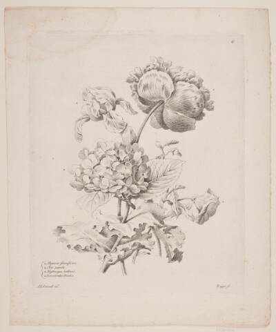 Blomster