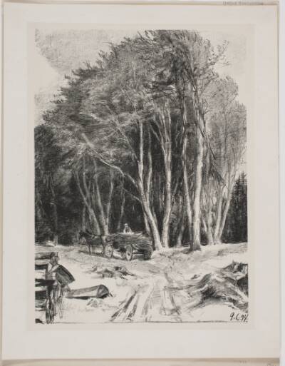 Skovhugst
