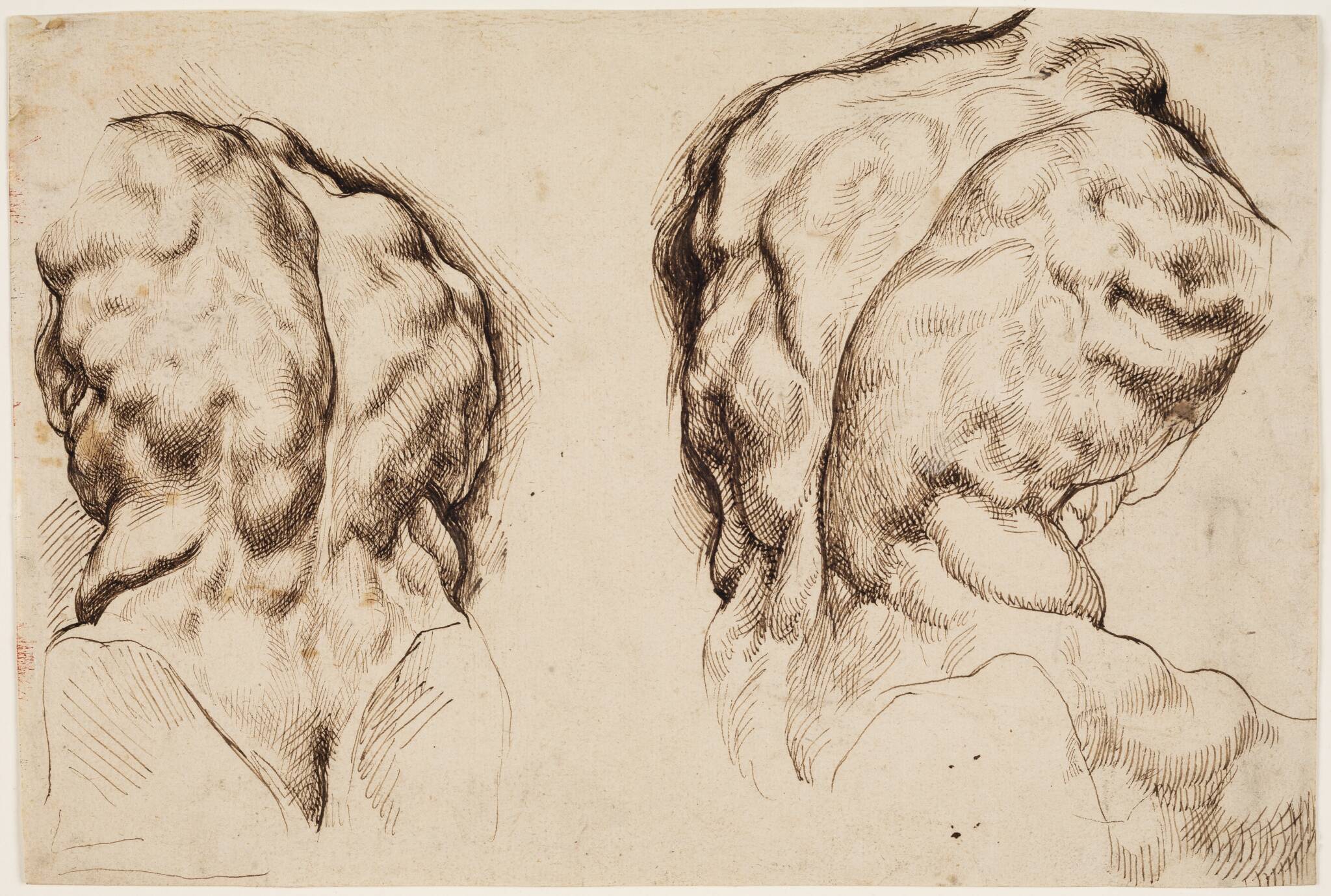 Рубенс схематический рисунок головы человека