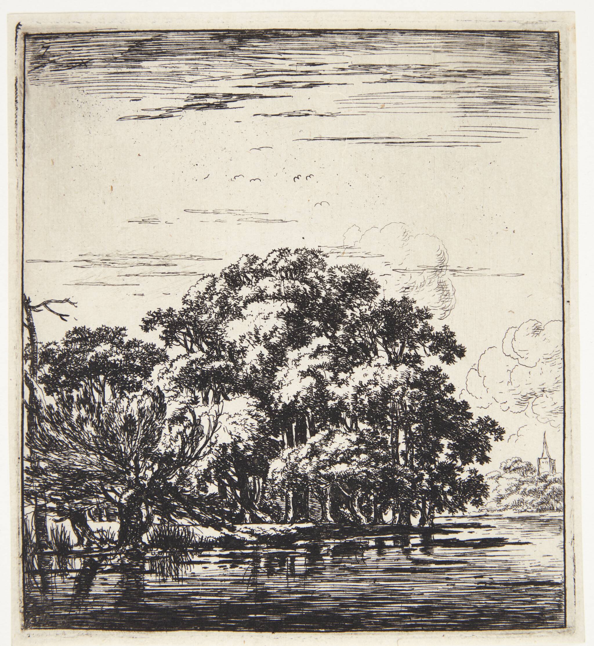 Skov på en landtange