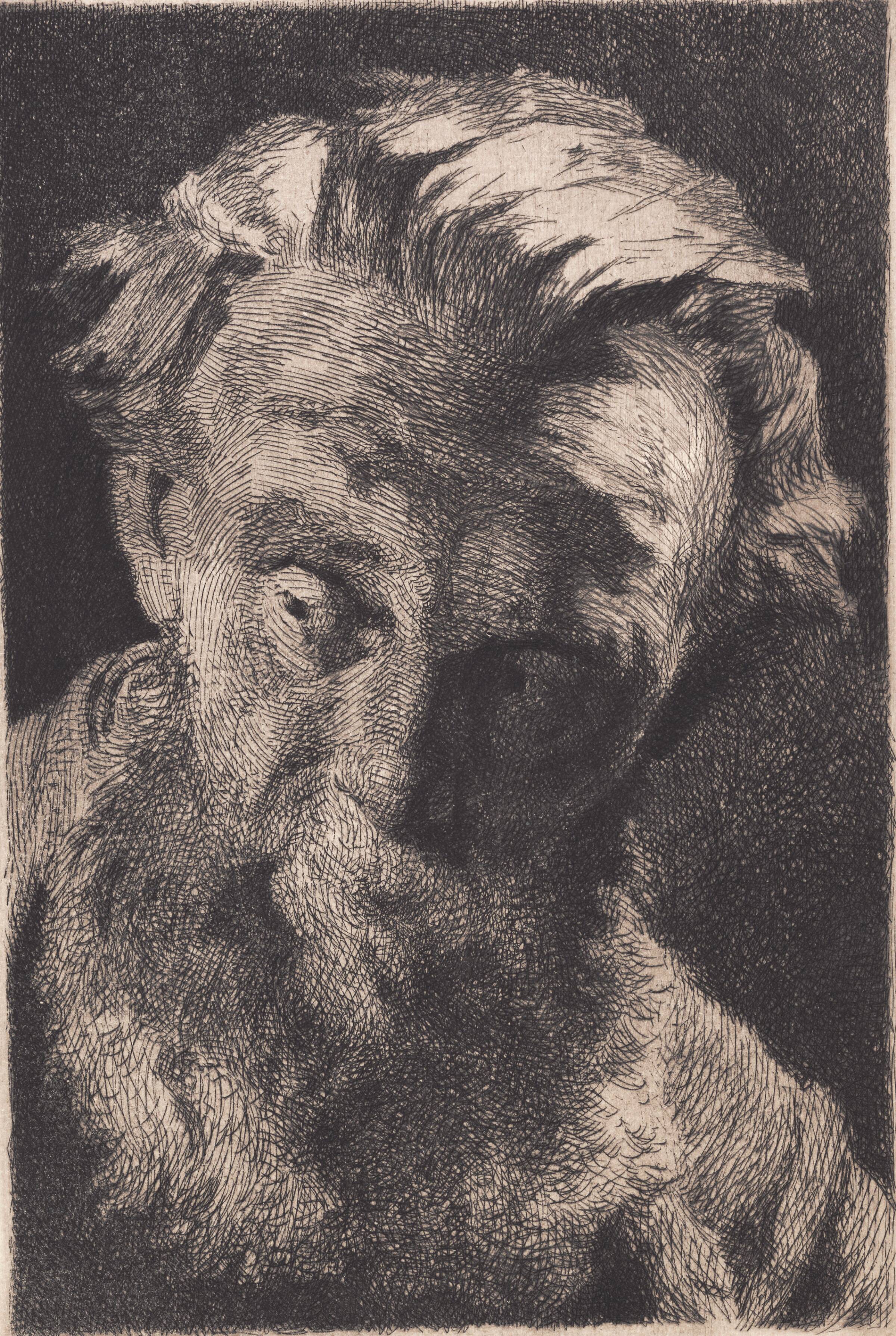Gammel skægget mand, der ser til siden, Frans Schwartz, 1898