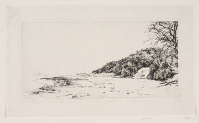 Skrænten ved Havet