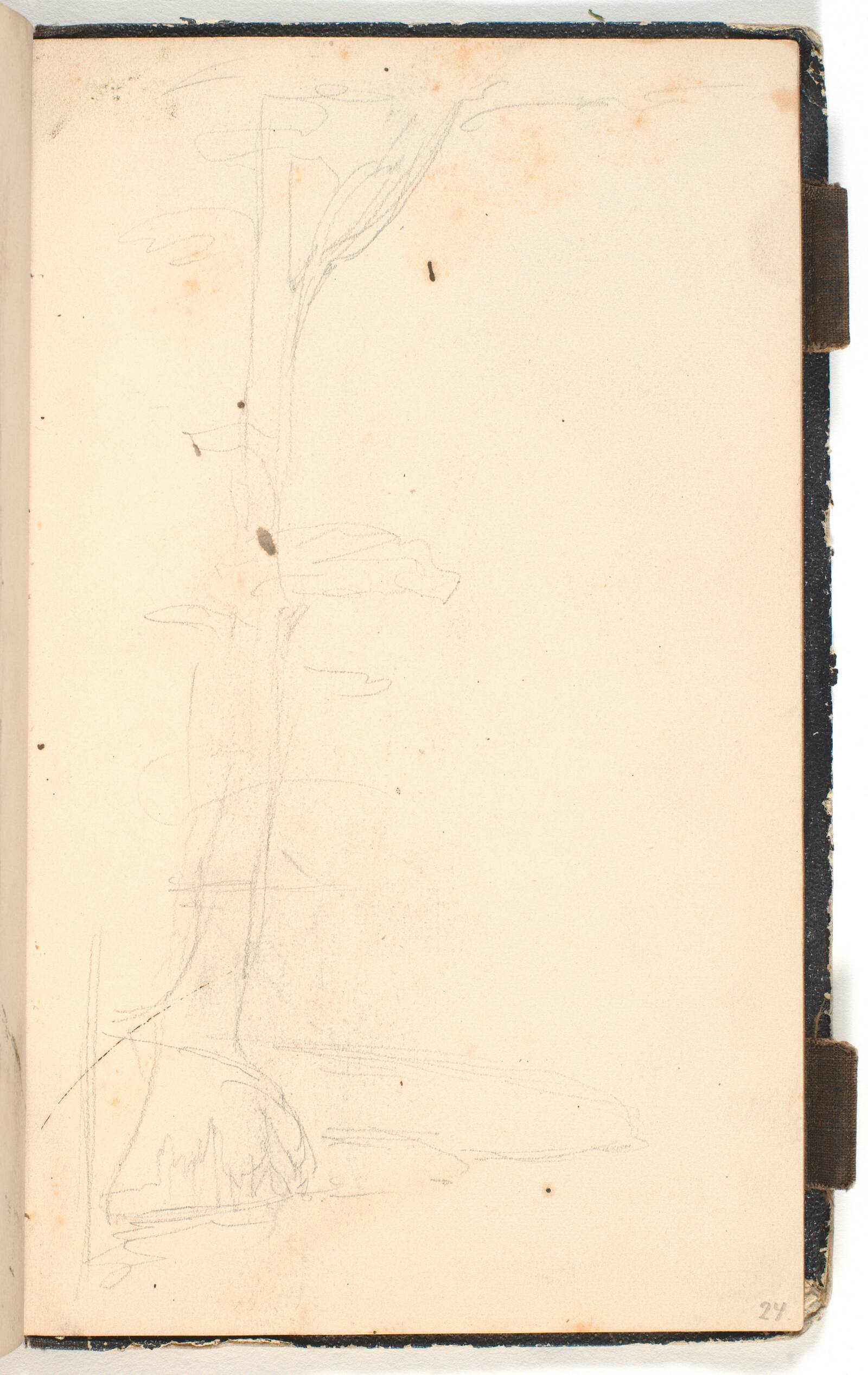 Træstamme, P.C. Skovgaard, 1872