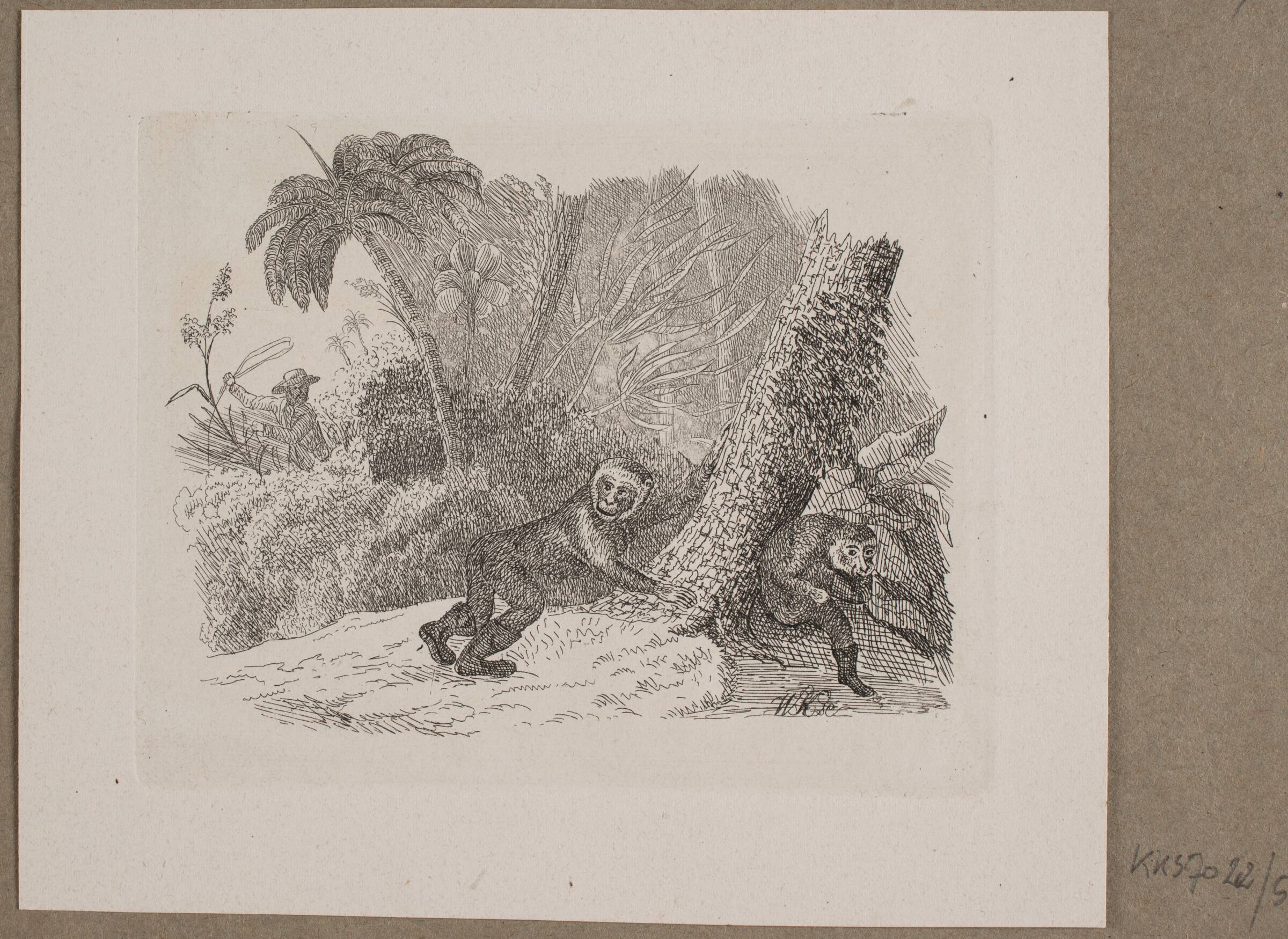 Illustration til O. Specter, "Fabler for Børn", Vilhelm Kyhn, 1838