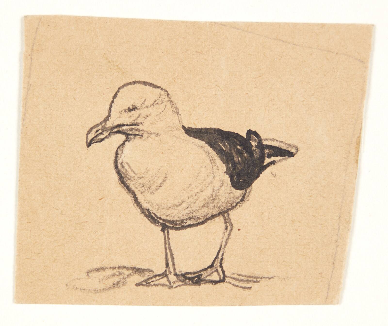 Stående måge, Johannes Larsen, 1898