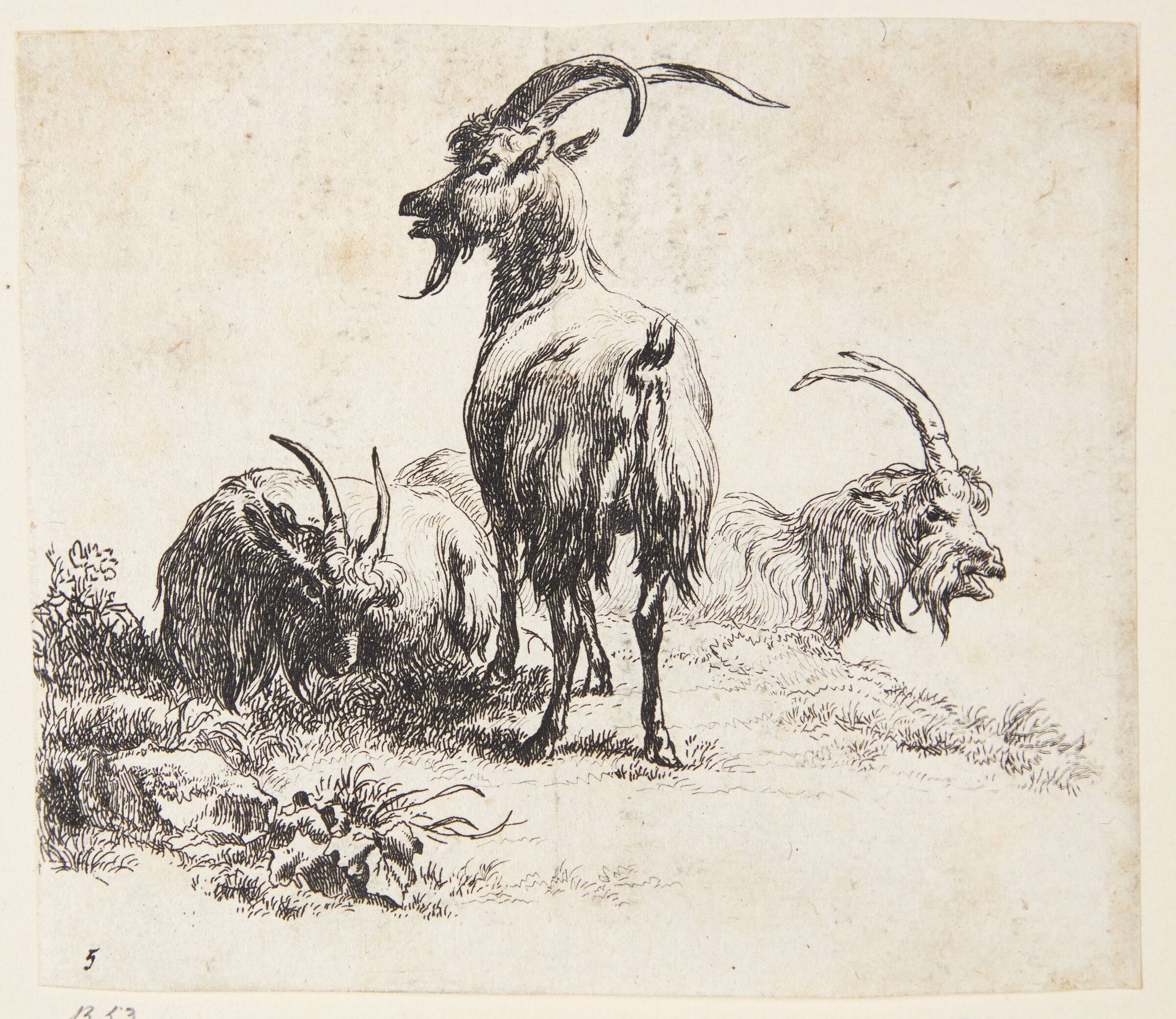 Tre geder, Nicolaes Berchem, 1620-1683