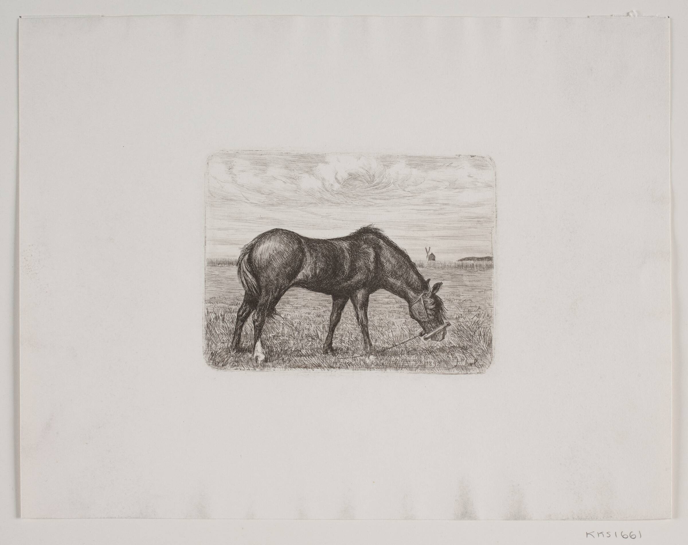 En hest på græs, Hans Christian Gether Caspersen, 1892