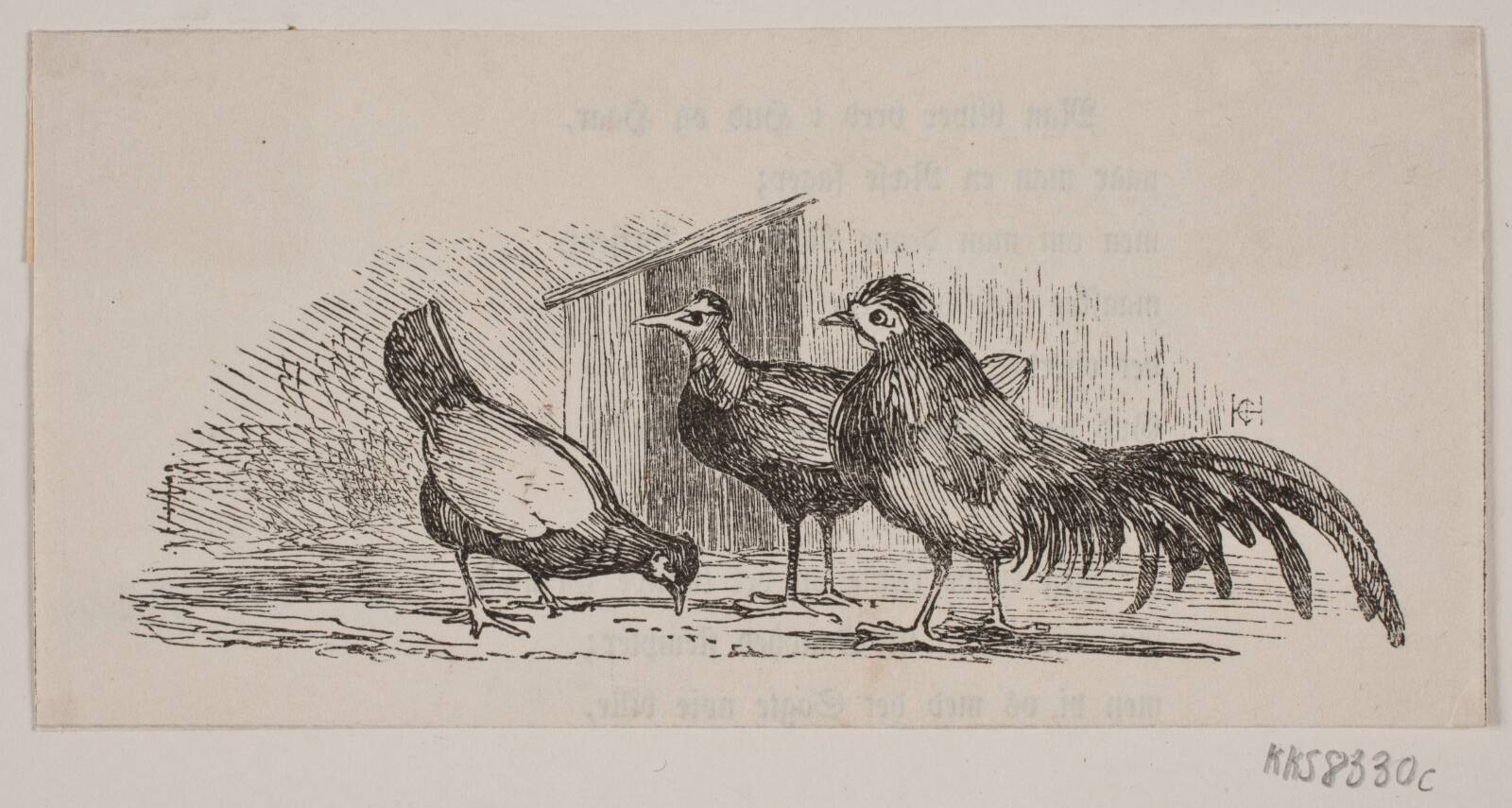 Tre høns, H.C. Henneberg, 1843