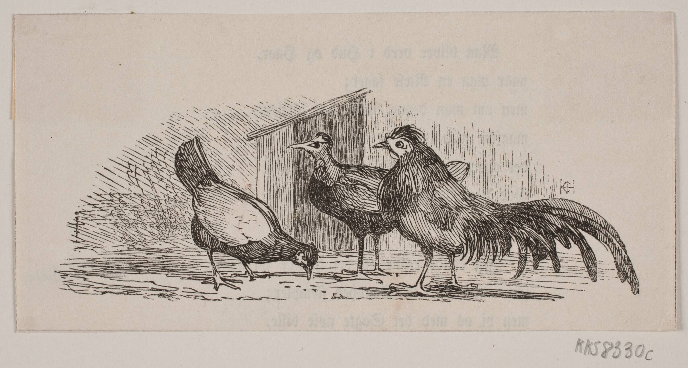 Tre høns, H.C. Henneberg, 1843