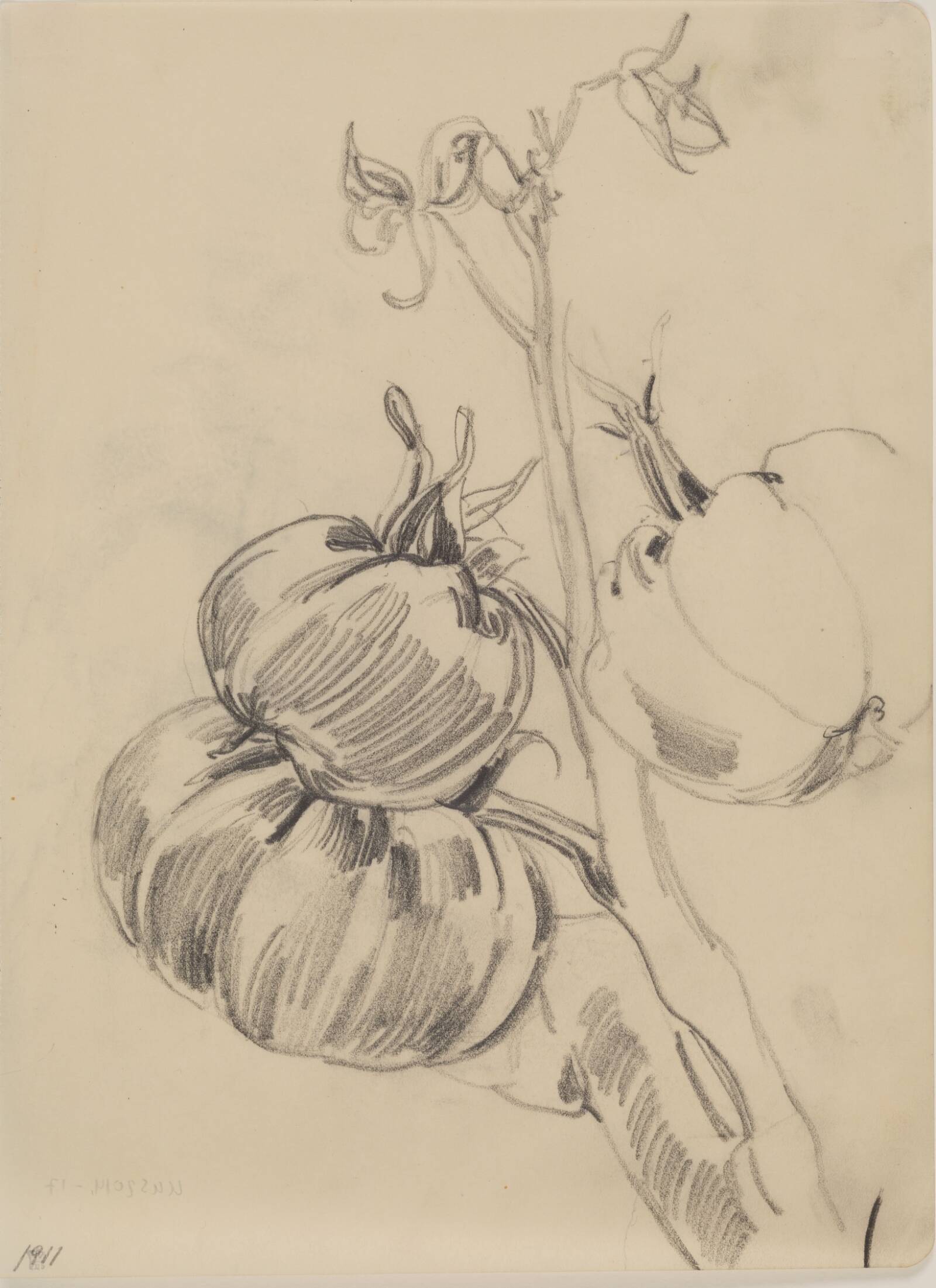 Frugter, J.A. Jerichau, 1911