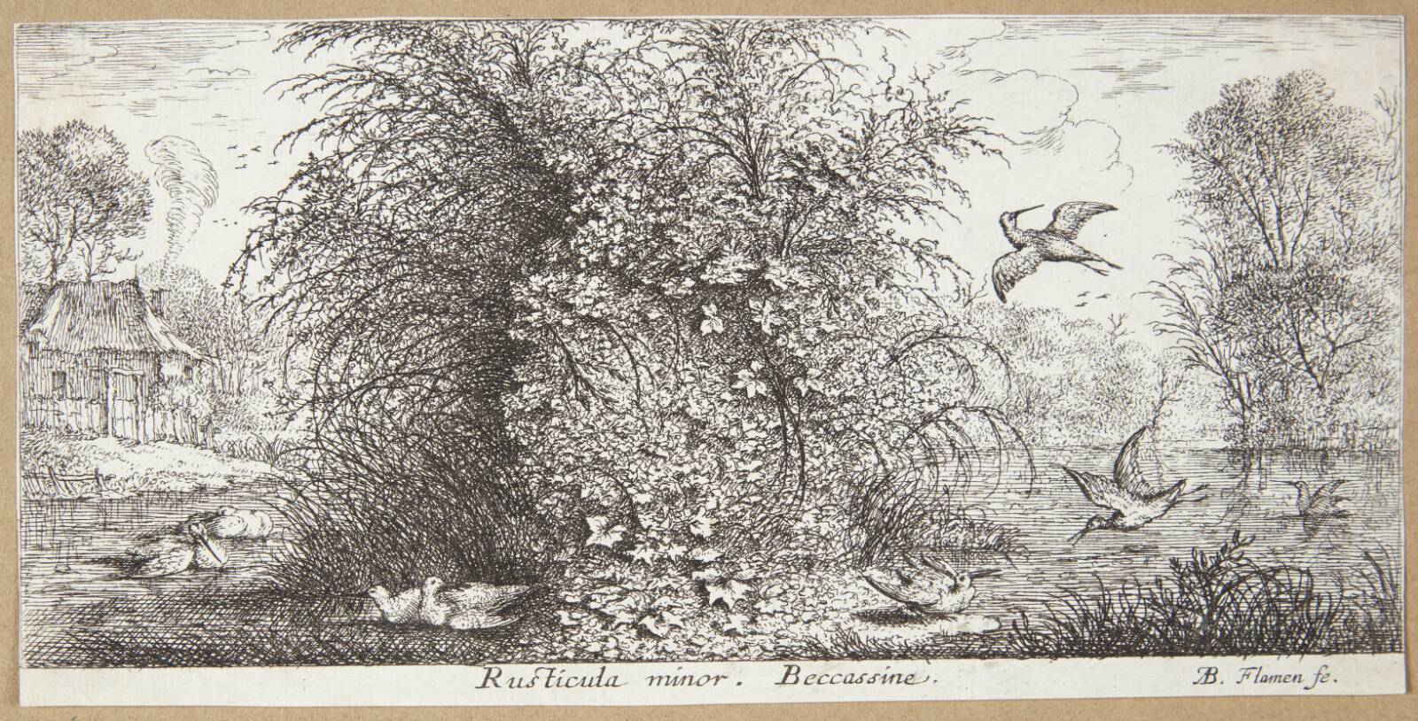 Sneppen (Rusticula minor), Albert Flamen, 1620-1669