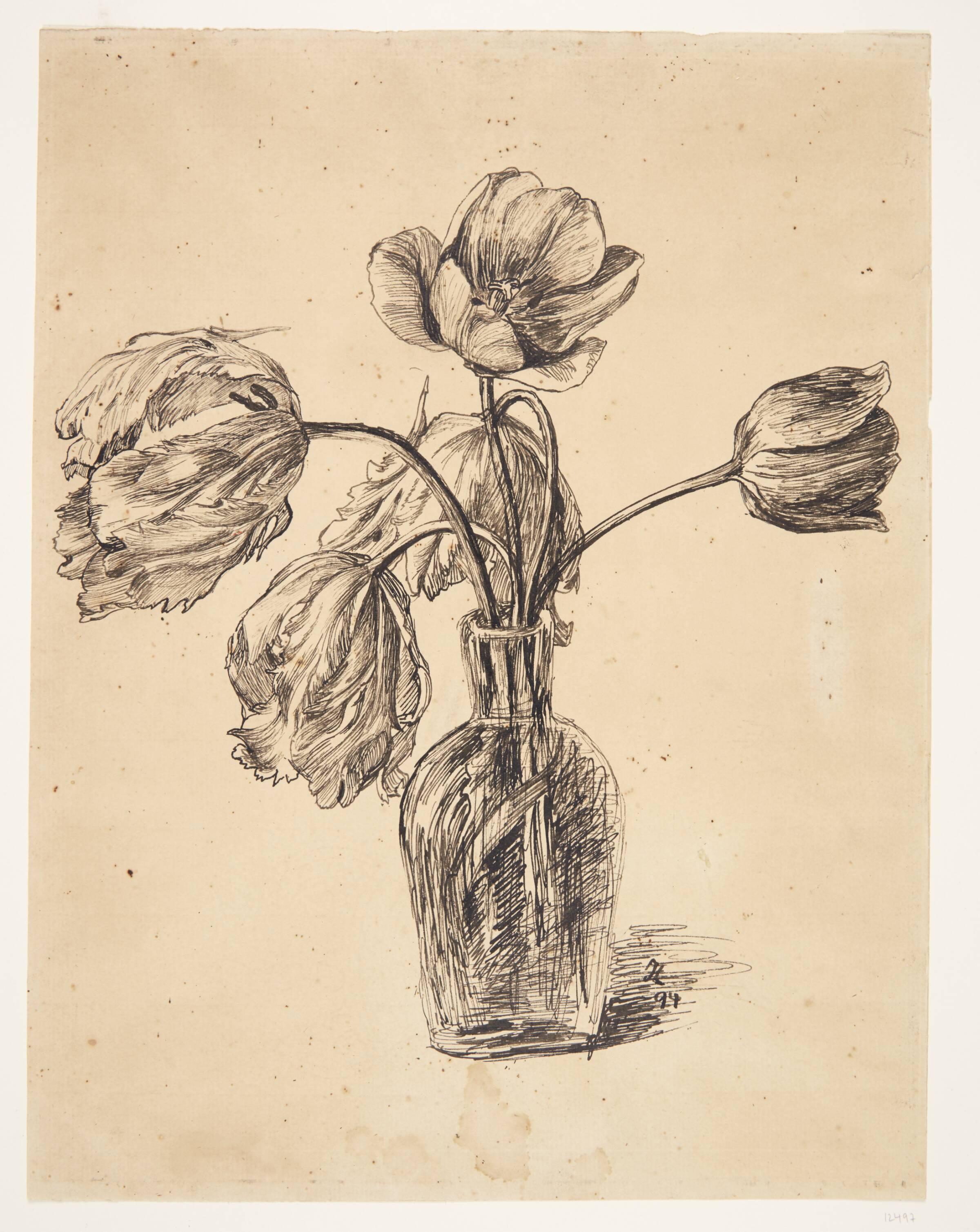 Tulipan i en karaffel, Johannes Larsen, 1897