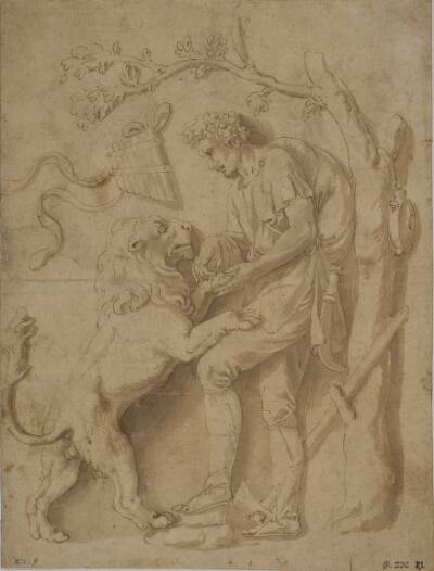 Hyrde fjerner en torn fra en løves pote. Studie til et af stuccoreliefferne i Giardino della Grotta, Palazzo Tè, Mantua