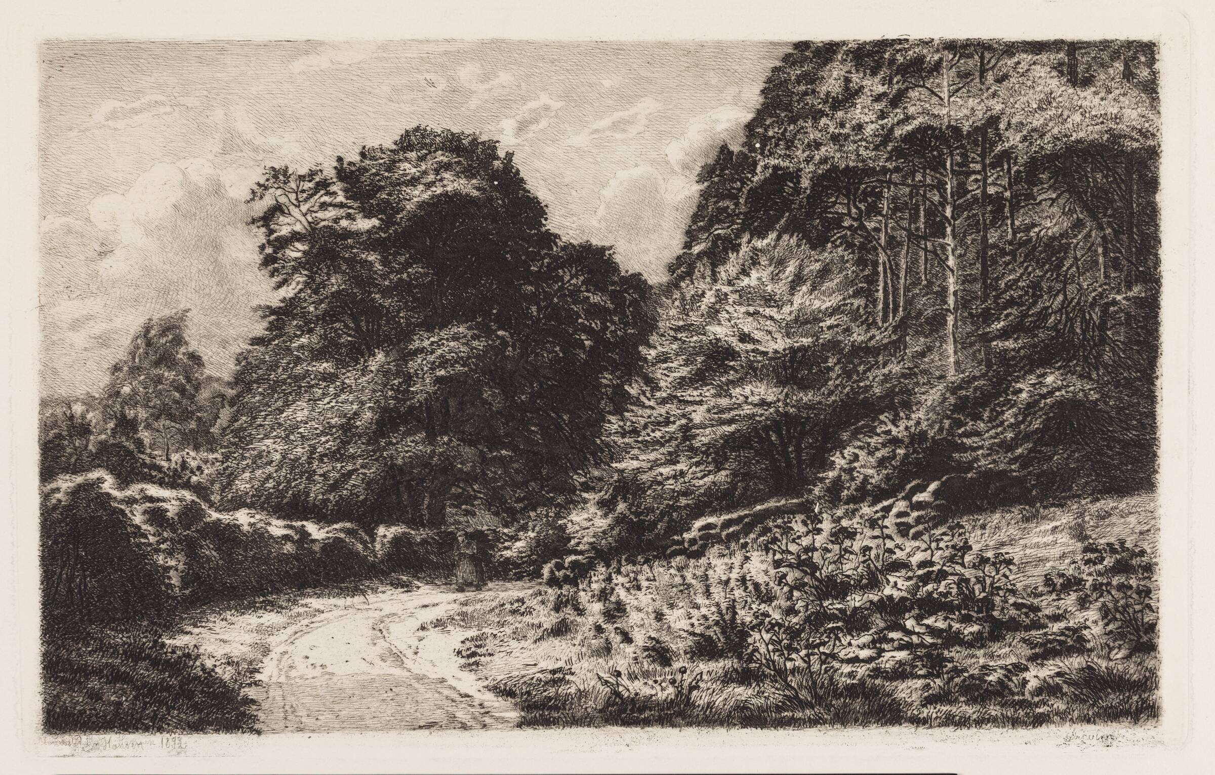 Fra Ørholm skov, Louise Ravn-Hansen, 1892