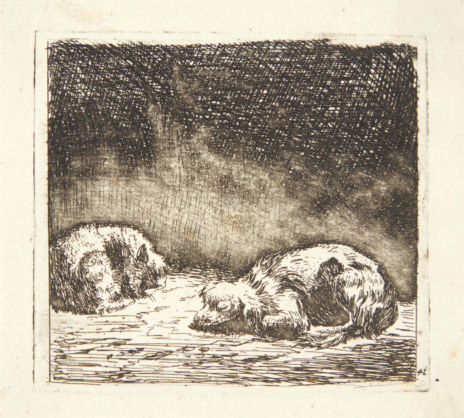 To får, Karel Du Jardin, 1626-1678