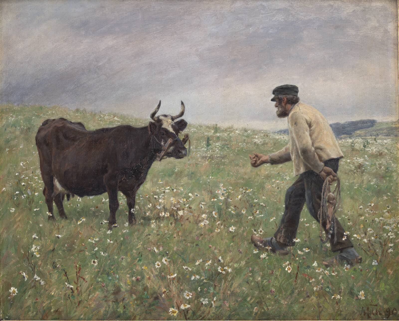 En ko løs, M. Therkildsen, 1890