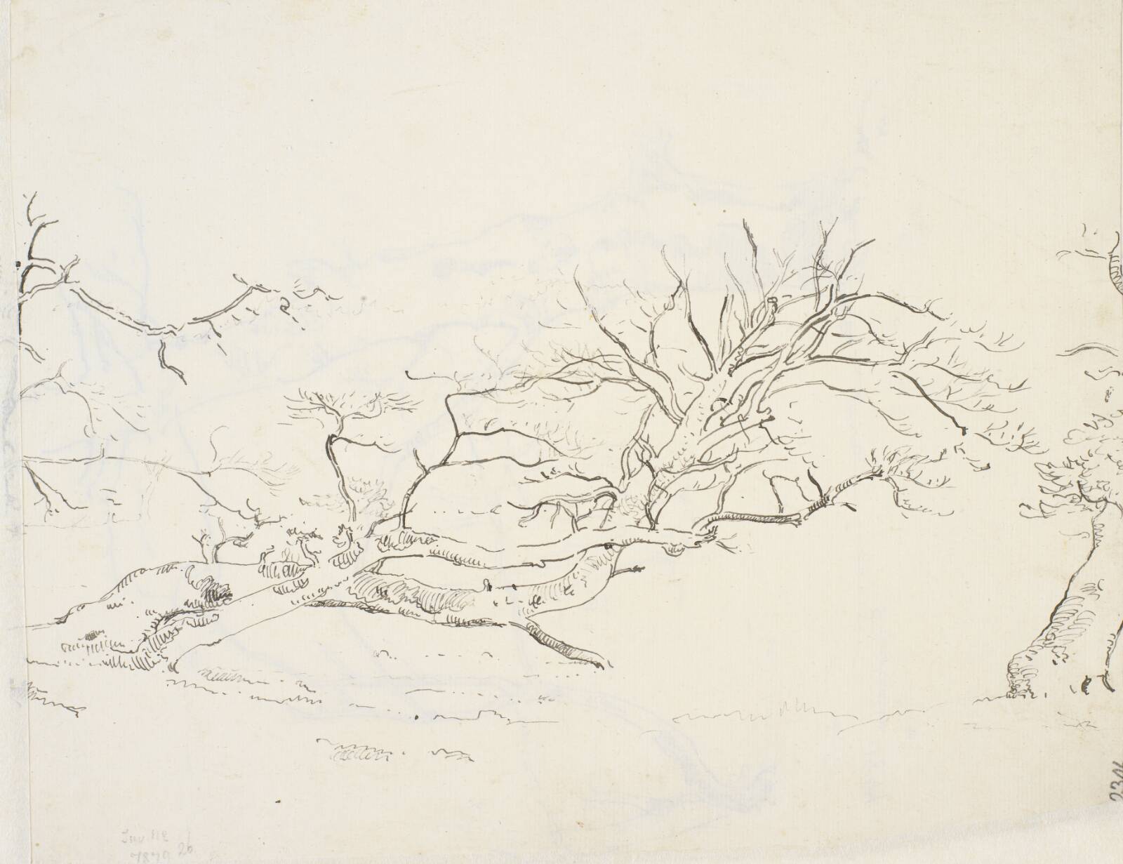 Træstammer, Dankvart Dreyer, 1847