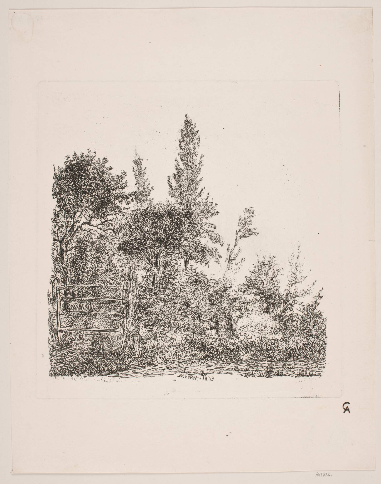 Skovparti, J.P. Møller, 1833