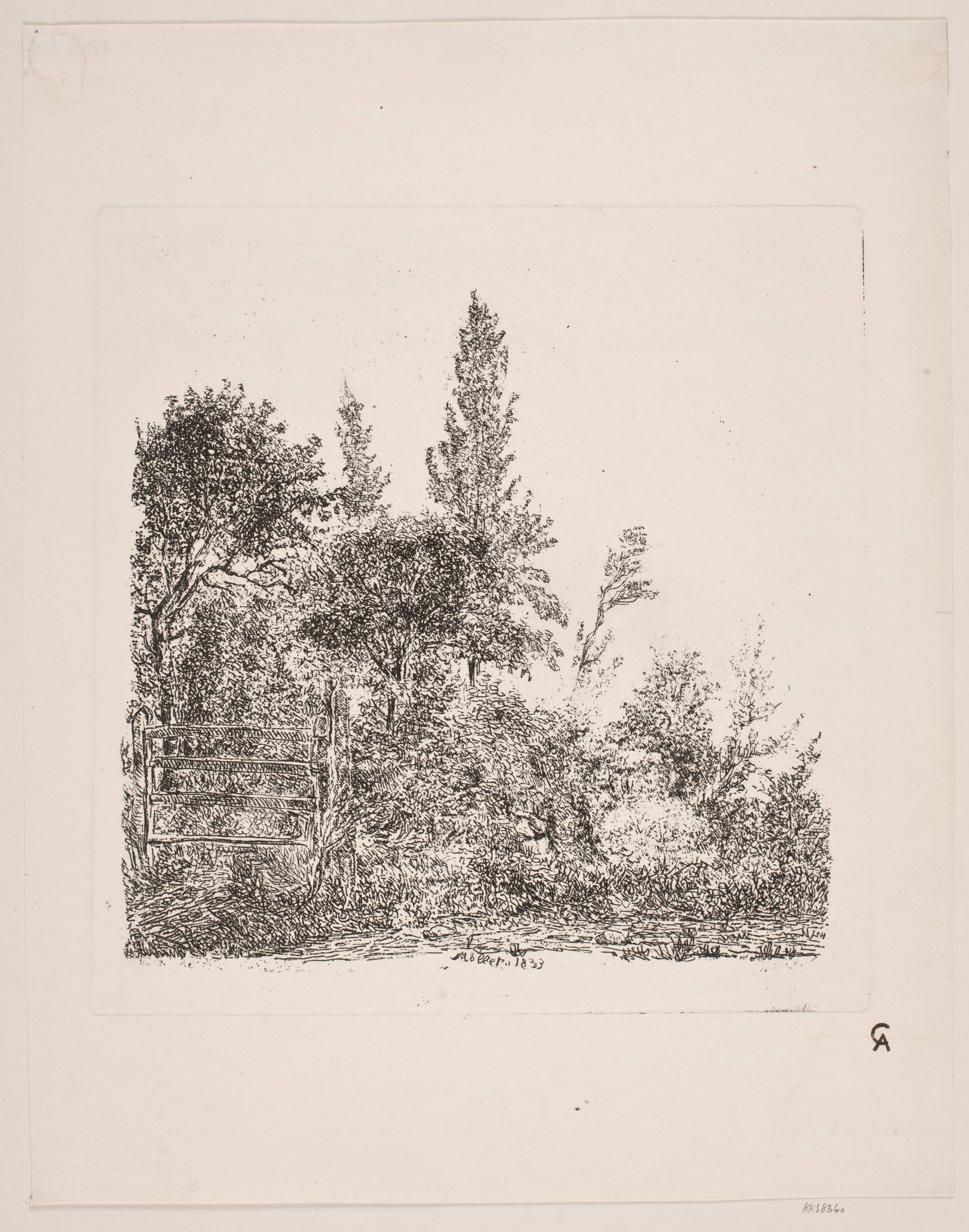 Skovparti, J.P. Møller, 1833