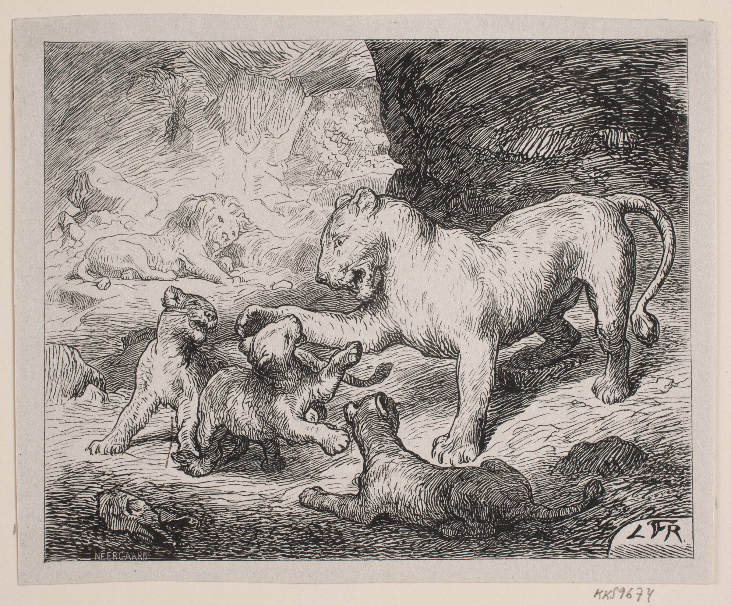 Løveungerne. Illustration til Chr. Winthers "Billedbog for Store og Smaa", Robert Neergaard, 1871