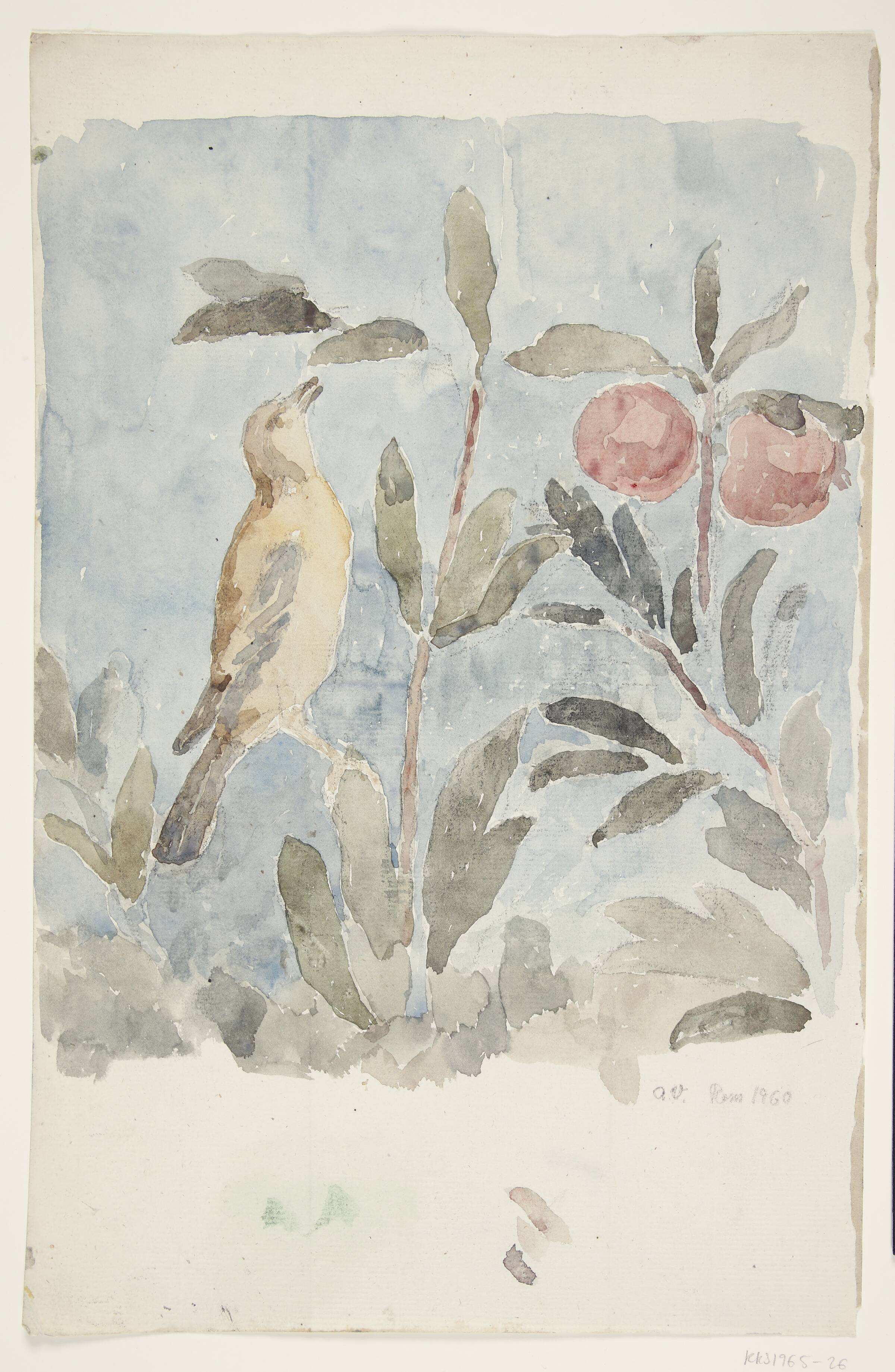 Fugl siddende på planter. Kopi af vægmaleri i "Livets villa", nu i Termemuseet, Rom, Agnete Varming, 1960