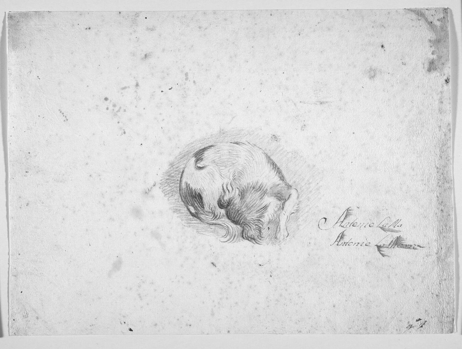 Sovende hund, Antonio La Marra, 1700-1799