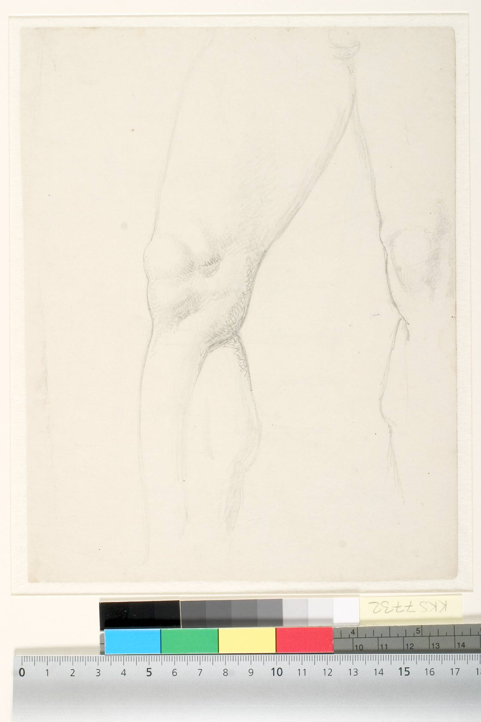 Studie af mandlig models ben, Dankvart Dreyer, 1830-1833