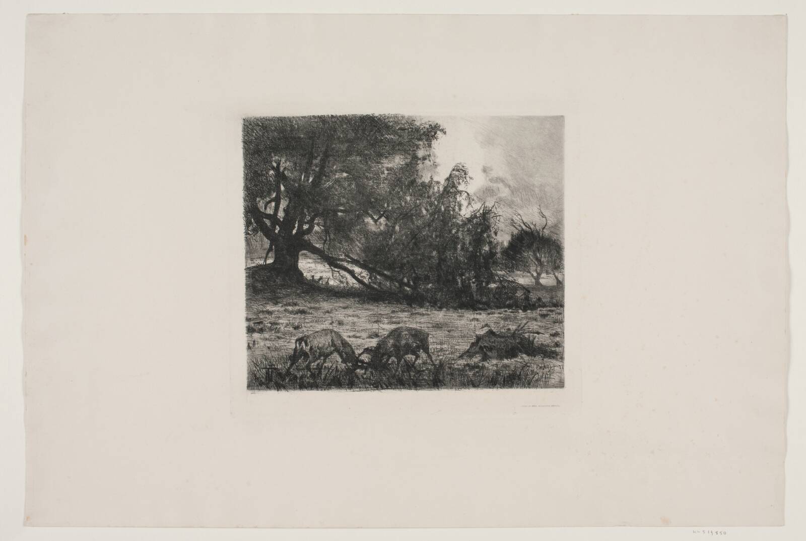 Efterår. Hjorte der kæmper, Thorvald Niss, 1842-1905