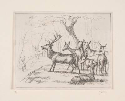Illustration til digtet "Hjorten" af Gotfred Rode
